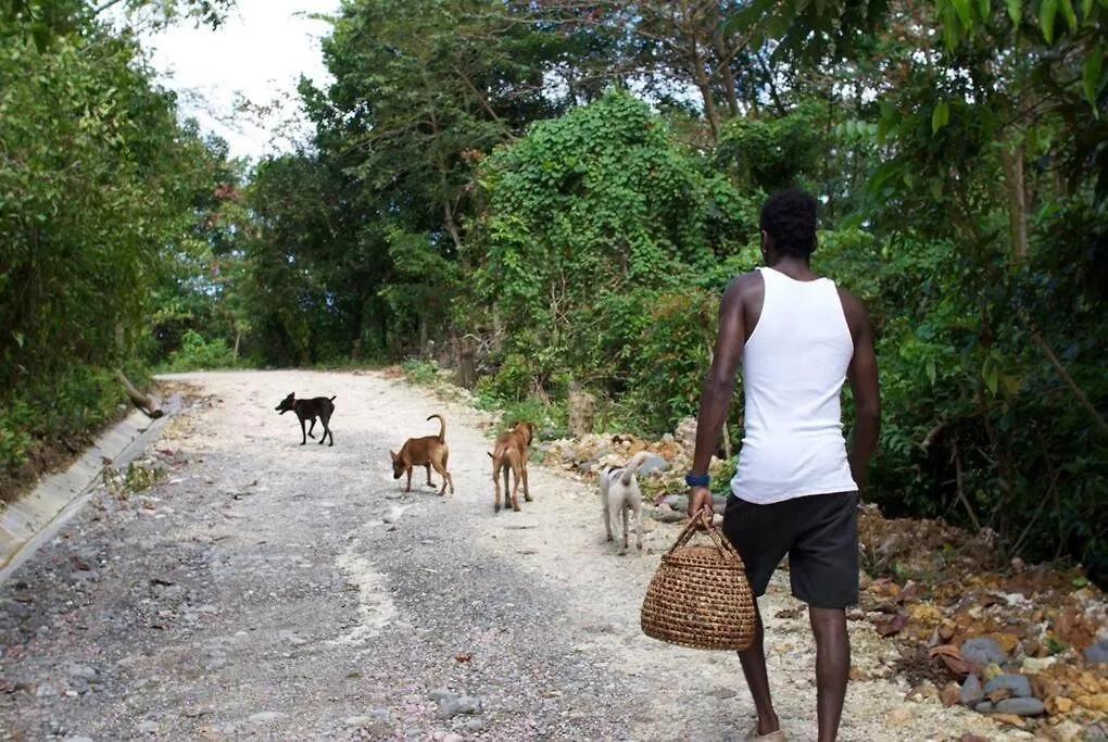 The Likkle Nature Queen Cottage Port Antonio