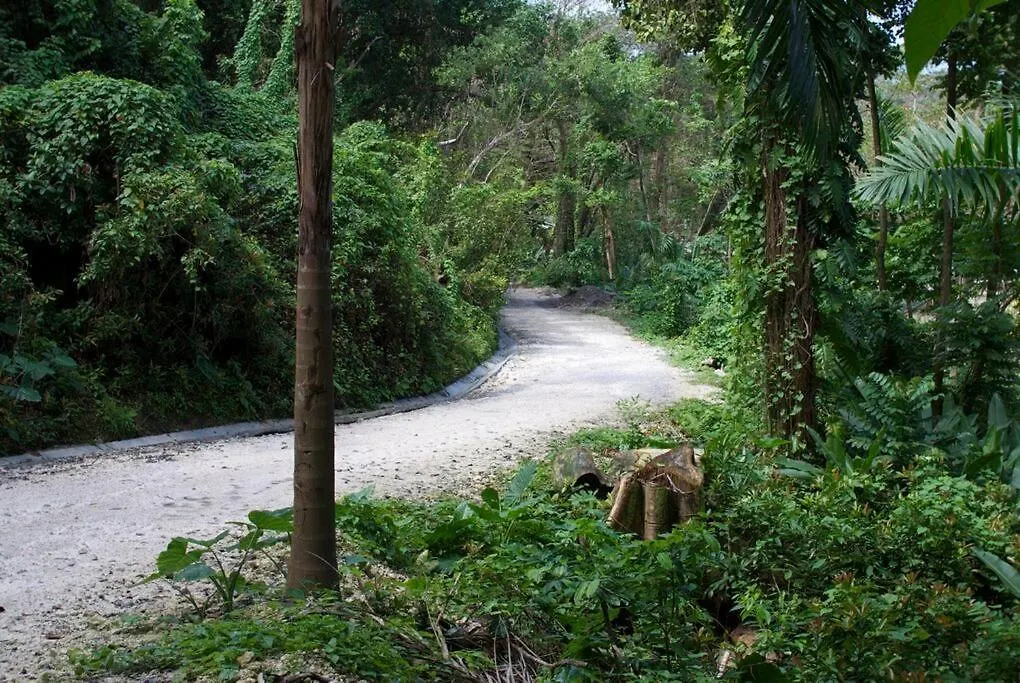The Likkle Nature Queen Cottage Port Antonio Jamaica