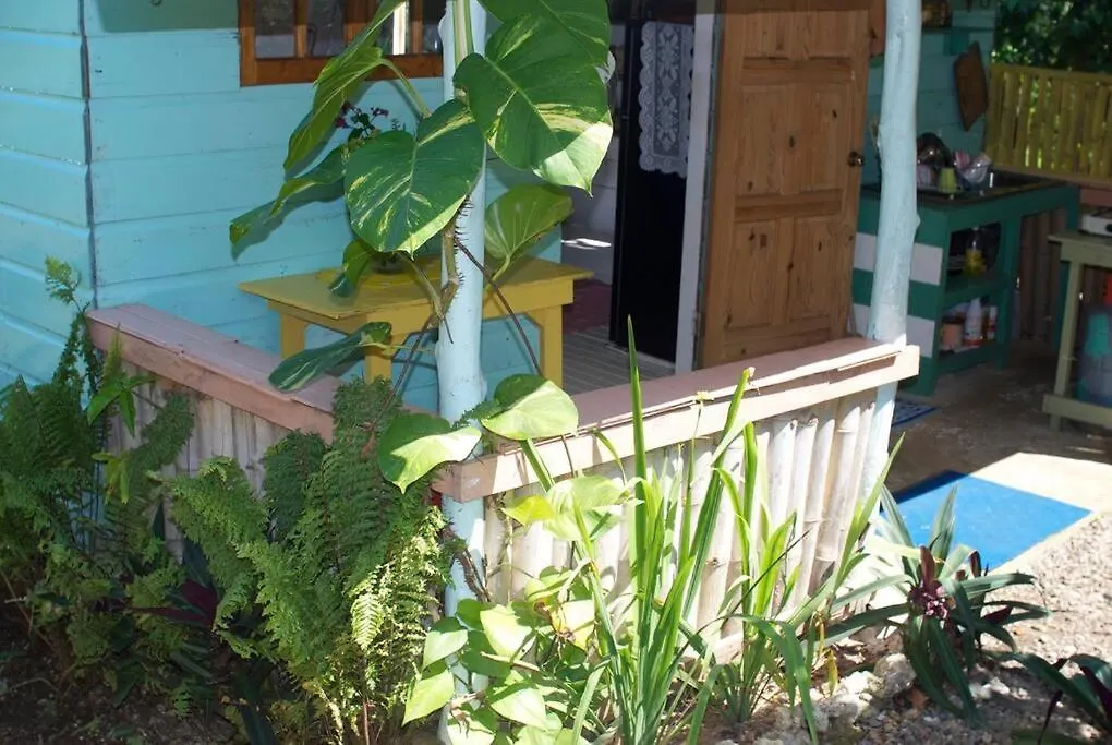 The Likkle Nature Queen Cottage Port Antonio 0*,